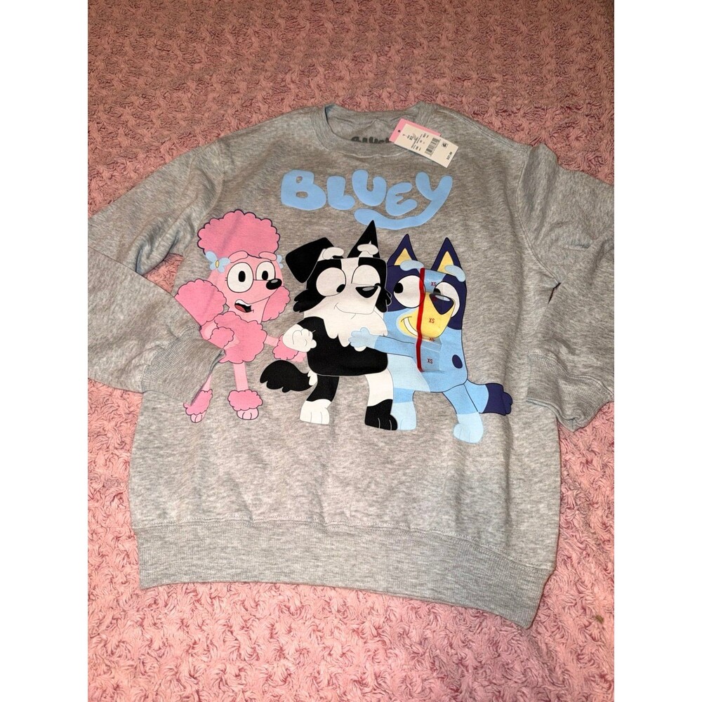 Bluey tv show Disney sweater sweatshirt gray dog bingo coco Chloe sweater NWT